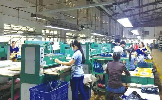 Skilled Labor in Quanzhou Shoe Factory